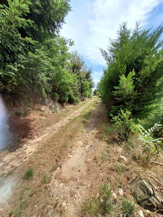 לינה וארוחת בוקר Saint-Barthélemy-le-Meil La Grange De La Coste מראה חיצוני תמונה